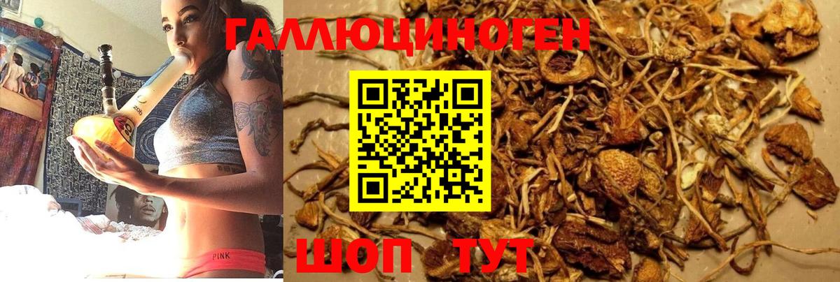 Урюпинск  купить  сайты  Вход с VPN  Псилоцибиновые грибы Magic Shrooms  Псилоцибиновые грибы Psilocybe 